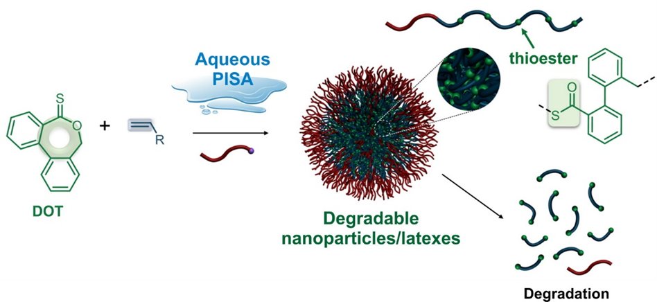Julien Nicolas (@julnicolas) on Twitter photo Our latest collaborative contribution to the #PISA field just appeared in <a href="/MacroJrnls_ACS/">ACS Macro Journals</a>!
▶️Direct aqueous PISA to generate degradable vinyl polymer nanoparticles/latexes by #rROP
🏢<a href="/umr8612/">Institut Galien Paris-Saclay (IGPS)</a> <a href="/cp2m_lab/">CP2M - UMR 5128</a> <a href="/icr_crops/">crops icr</a>
💶<a href="/AgenceRecherche/">ANR - Agence nationale de la recherche</a> #CKAPART
pubs.acs.org/doi/10.1021/ac…
🧵1/8 Our latest collaborative contribution to the #PISA field just appeared in <a href="/MacroJrnls_ACS/">ACS Macro Journals</a>!
▶️Direct aqueous PISA to generate degradable vinyl polymer nanoparticles/latexes by #rROP
🏢<a href="/umr8612/">Institut Galien Paris-Saclay (IGPS)</a> <a href="/cp2m_lab/">CP2M - UMR 5128</a> <a href="/icr_crops/">crops icr</a>
💶<a href="/AgenceRecherche/">ANR - Agence nationale de la recherche</a> #CKAPART
pubs.acs.org/doi/10.1021/ac…
🧵1/8
