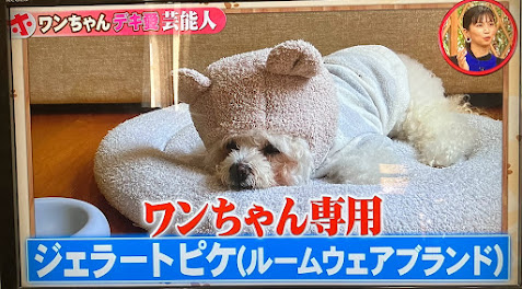 ペット はうす枚方 山之上店 Petyamanoue Twitter