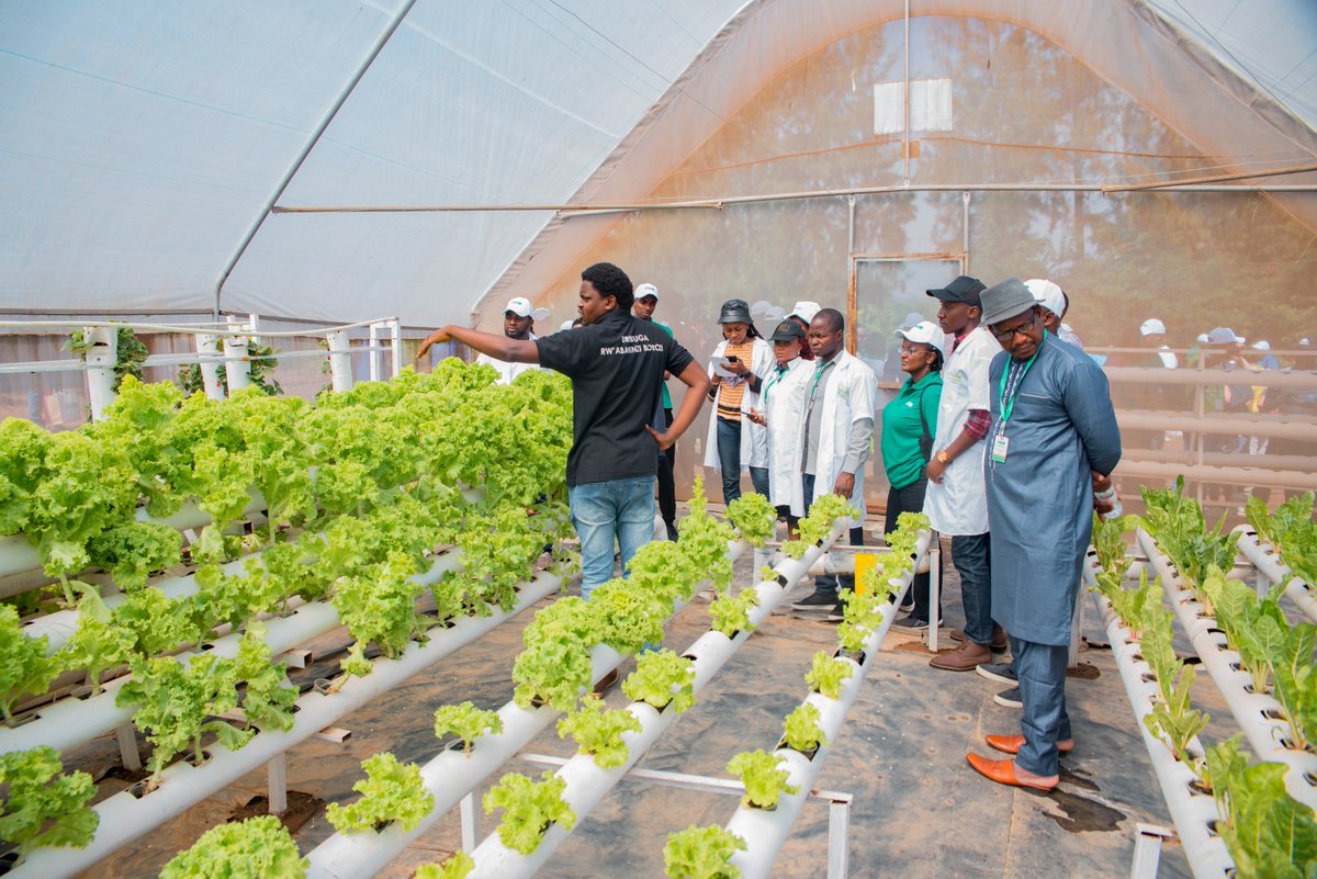 pafo_africa's tweet photo. #jeunesagriculteurs du #sija2022 oganisé par @pafo_africa en visite sur le terrain d'innovations dans des fermes des #jeunespaysans rwandais.
#AfricanUnion #fo4acp #NEPAD #AHA #Coleacp #jeunesagriculteurs #farmers_feed_africa #farmers_feed_the_world https://t.co/yFq2cj6qxK