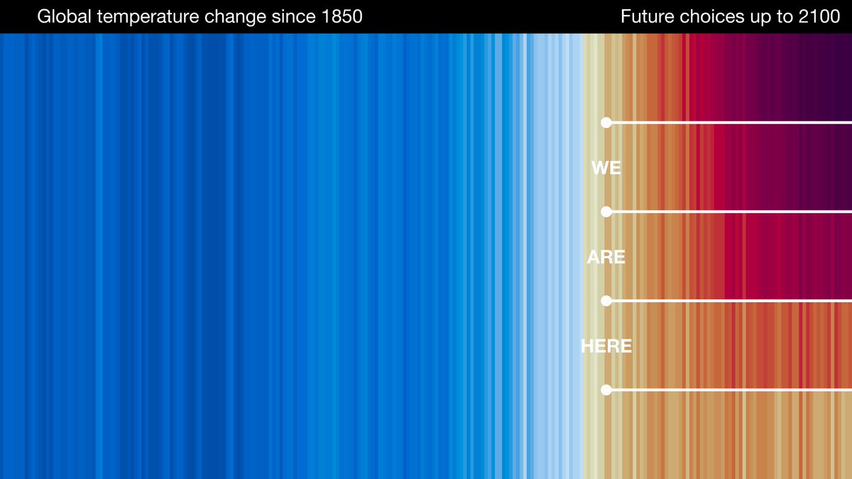 Léa Falco tweet media