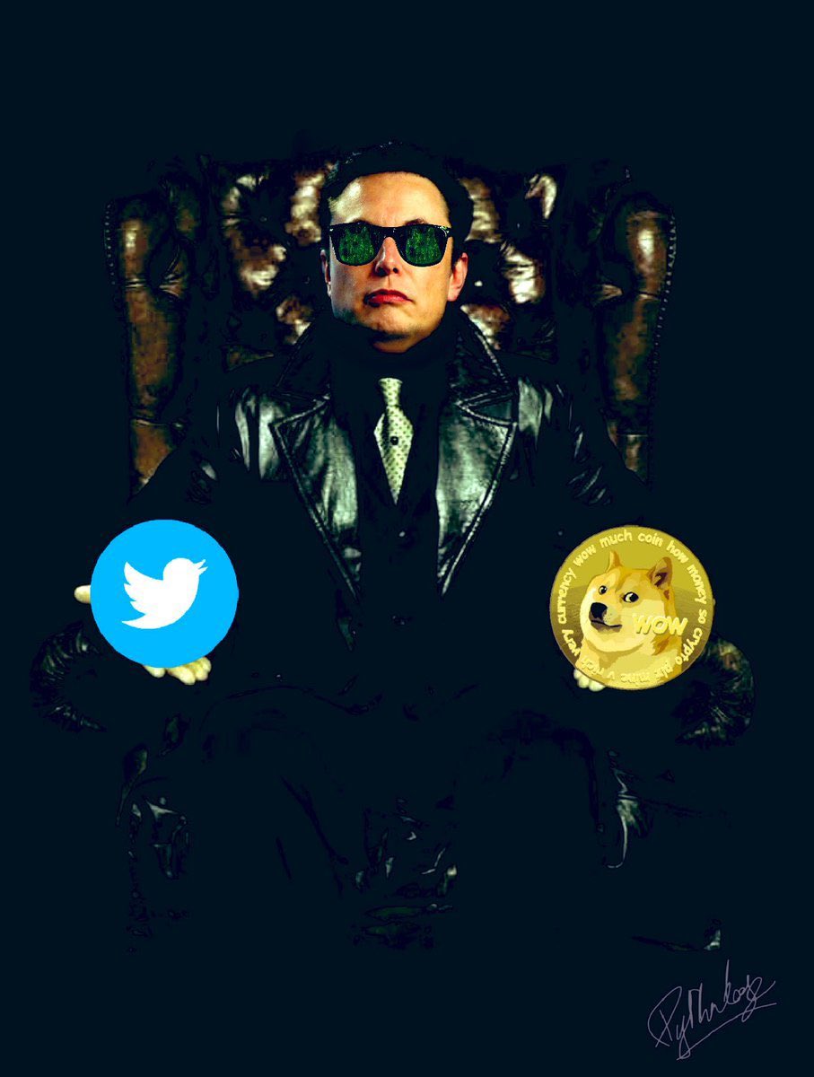 ALPEX_Global's tweet photo. Left bird,right doge #twitter #crypto https://t.co/8dag44VK9j