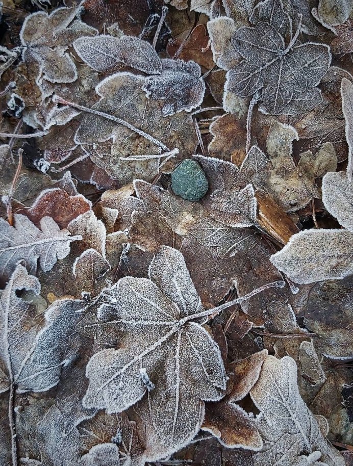 Although it may be cold outside, there's nothing that beats an Autumn walk. Breathing in the fresh air, hearing the crunch of fallen leaves underfoot and soaking up the stunning views of our surrounding landscapes! 🌿

📸| instagram.com/lynnaywmcsept20

#MerciaMarina #Lodges #Autumn