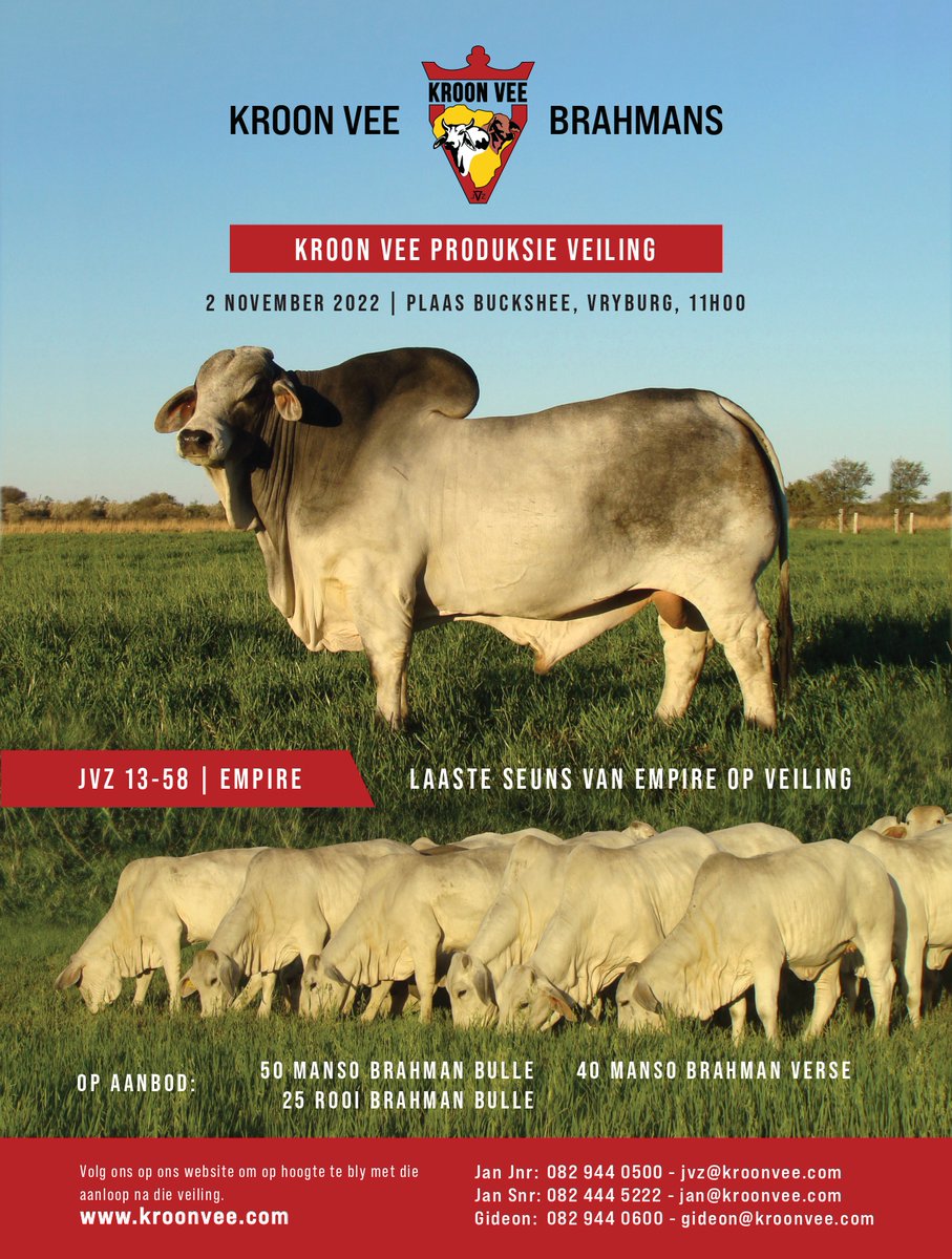 Veeplaas1's tweet image. #KroonVeeBrahmane se 25ste produksieveiling vind op 2 November om 11:00 op die plaas Buckshee by Vryburg plaas. Altesaam 50 Manso-bulle, 25 rooi bulle en 40 Manso-kalwers word aangebied. Skakel 082 944 0500 of 082 444 5222 vir meer inligting.
@TeamSwiftVEE #Brahmane #Swiftvee