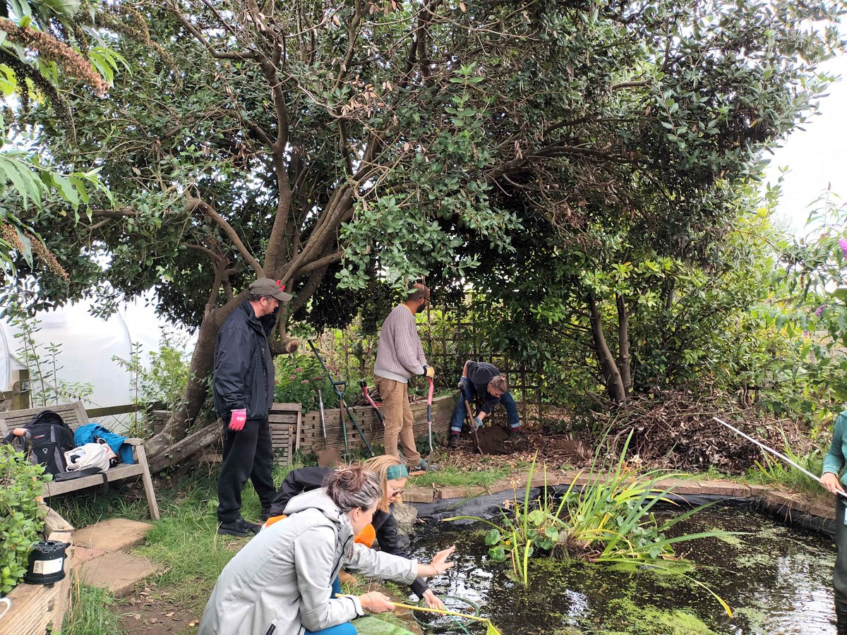 froglifers's tweet image. The #DiscoveringDewponds team visited the wonderful site @PLOT_22 to deliver a volunteer training workshop. The group created 2 hibernacula and cleared the pond of Crassula helmsii! Oxygenating plants are great for ponds, but be careful not to introduce non-native species.