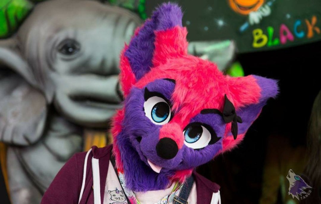 Youhouuuu ! Je suis à la FBL#10 dès ce soiiir ! ^-^ 

Les photos sont d'une ancienne FBL ( il y a 5 ans ) et prises par <a href="/TangoHusky/">Tango</a> ^-^