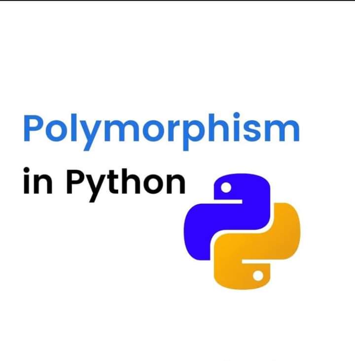 itxfida's tweet photo. Polymorphism in python
.
Thread1(1)

#python #programming #coding #java #javascript #programmer #developer #html #snake #coder #code #computerscience #technology #css #machinelearning #pythonprogramming #linux #ballpython #php #datascience #reptile #snakes #reptiles #snakesofinst https://t.co/WGUnyXhE7S