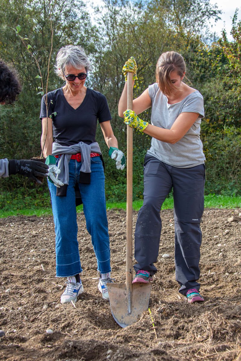 italdesign's tweet image. We left you 4 months ago with a promise: growing as Persons and as a Team, supporting @ETIFOR&apos;s #BioClima and #WOWnature projects. After 4 months we kept our promise and planted our first forest of young trees in Parco San Colombano (Suzzara - Mantova)! #Italdesign