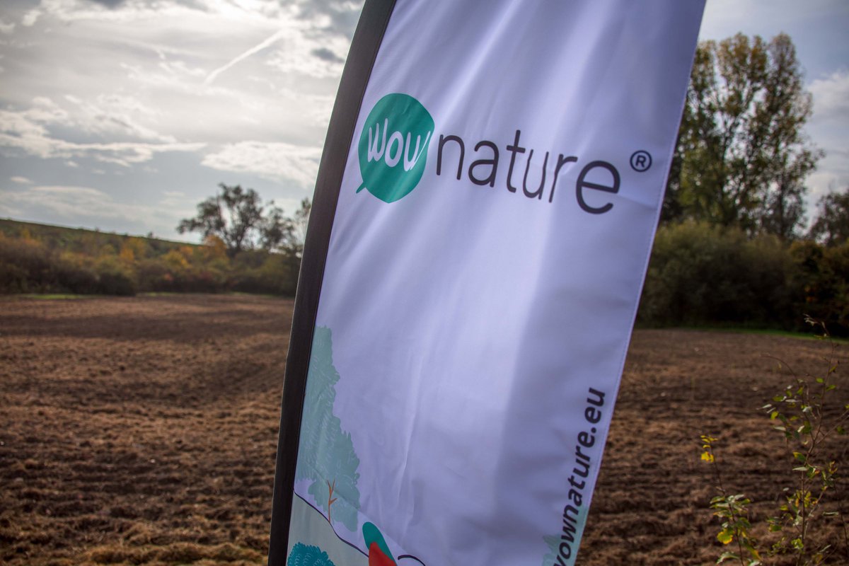 italdesign's tweet image. We left you 4 months ago with a promise: growing as Persons and as a Team, supporting @ETIFOR&apos;s #BioClima and #WOWnature projects. After 4 months we kept our promise and planted our first forest of young trees in Parco San Colombano (Suzzara - Mantova)! #Italdesign