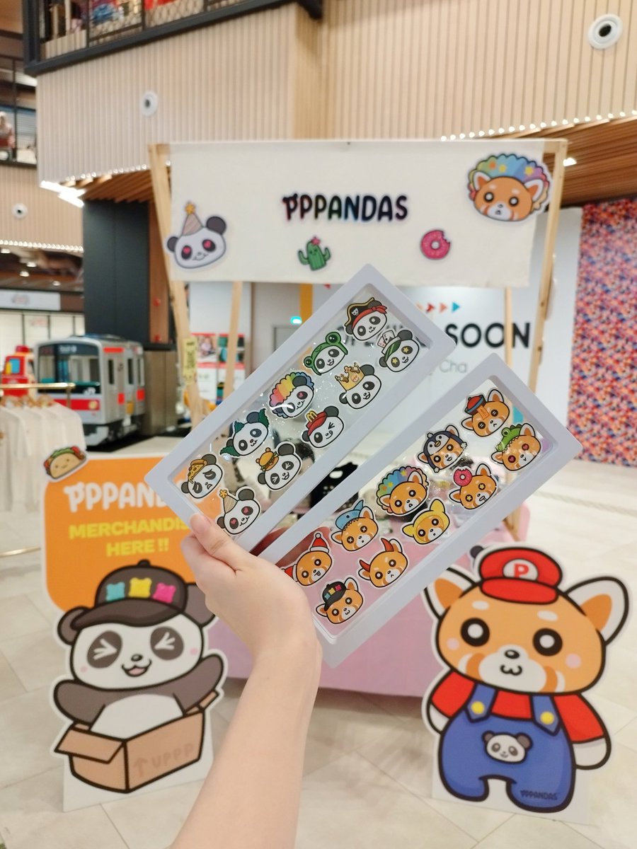 PPPandas 🐼 tweet media