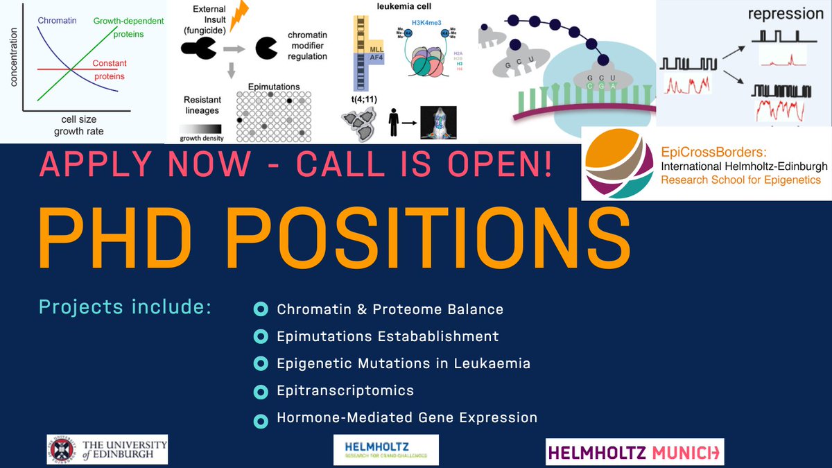 Epigenetics Research at Helmholtz Munich (@epigeneticshmgu) on Twitter photo Only 2 weeks left to apply🚨! So hurry up 🤓
@EpiCrossBorders accepts applications for its fully funded PhD program in Epigenetics, Single Cell Biology, Cancer, and Computational Biology! 
📆: Nov. 12th.
➡️ …lmholtzresearchschool-epigenetics.org Only 2 weeks left to apply🚨! So hurry up 🤓
@EpiCrossBorders accepts applications for its fully funded PhD program in Epigenetics, Single Cell Biology, Cancer, and Computational Biology! 
📆: Nov. 12th.
➡️ …lmholtzresearchschool-epigenetics.org