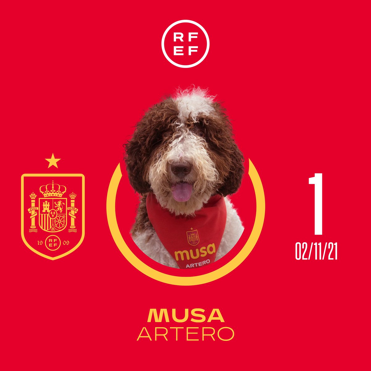 Selección Española Masculina de Fútbol tweet media
