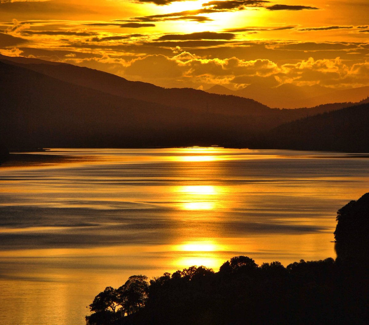 Mike Wood tweet media