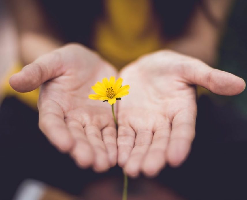 Dr. Avinash Bansode tweet media