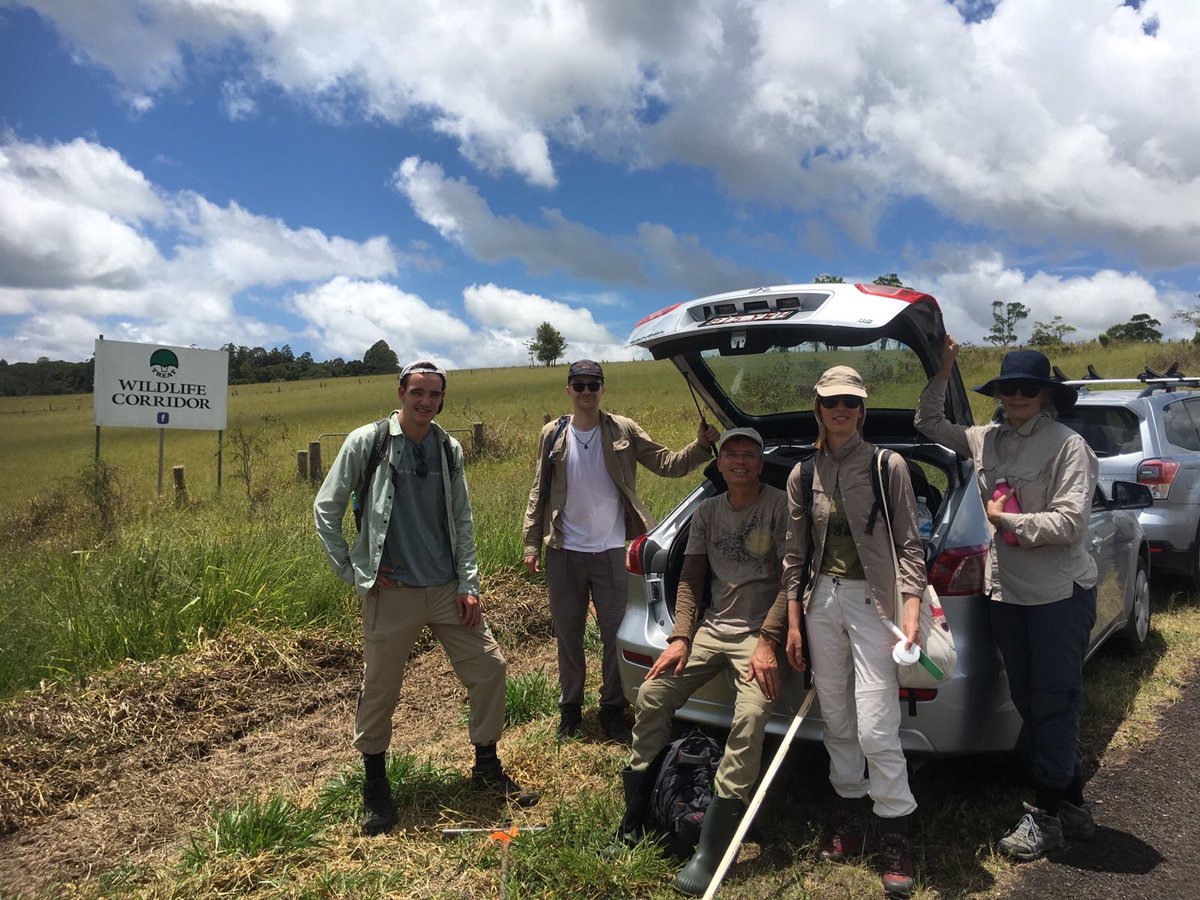 PANTROP (@pantropeu) on Twitter photo The PANTROP team @PoorterLourens @hordijk_iris has the opportunity again to work in Australia! Thanks to <a href="/SusanGWLaurance/">Dr Susan Laurance</a> we found all the already established plots and many new plots to measure. Living the Australian PANTROP dream✨ The PANTROP team @PoorterLourens @hordijk_iris has the opportunity again to work in Australia! Thanks to <a href="/SusanGWLaurance/">Dr Susan Laurance</a> we found all the already established plots and many new plots to measure. Living the Australian PANTROP dream✨