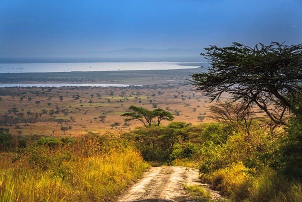 taubanictours's tweet photo. Each and Every day, Uganda is blessed by one of the Natural Factors. You wanna find-out ?
Come join with Taubanic Tours N Travel this november(25th-27th) for our massive trip at Mt Queen Elizabeth Forest at a cheapest price possible (450k all covered)
Feel the nature of uganda! https://t.co/5MU2yiI6vG
