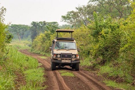 taubanictours's tweet photo. Each and Every day, Uganda is blessed by one of the Natural Factors. You wanna find-out ?
Come join with Taubanic Tours N Travel this november(25th-27th) for our massive trip at Mt Queen Elizabeth Forest at a cheapest price possible (450k all covered)
Feel the nature of uganda! https://t.co/5MU2yiI6vG