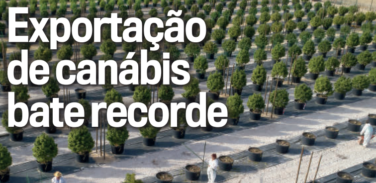 widepartner's tweet photo. A exportação de Canábis para fins medicinais está a aumentar e bate recorde.

https://t.co/Jg8JDNOTBN https://t.co/potvYVMQqf