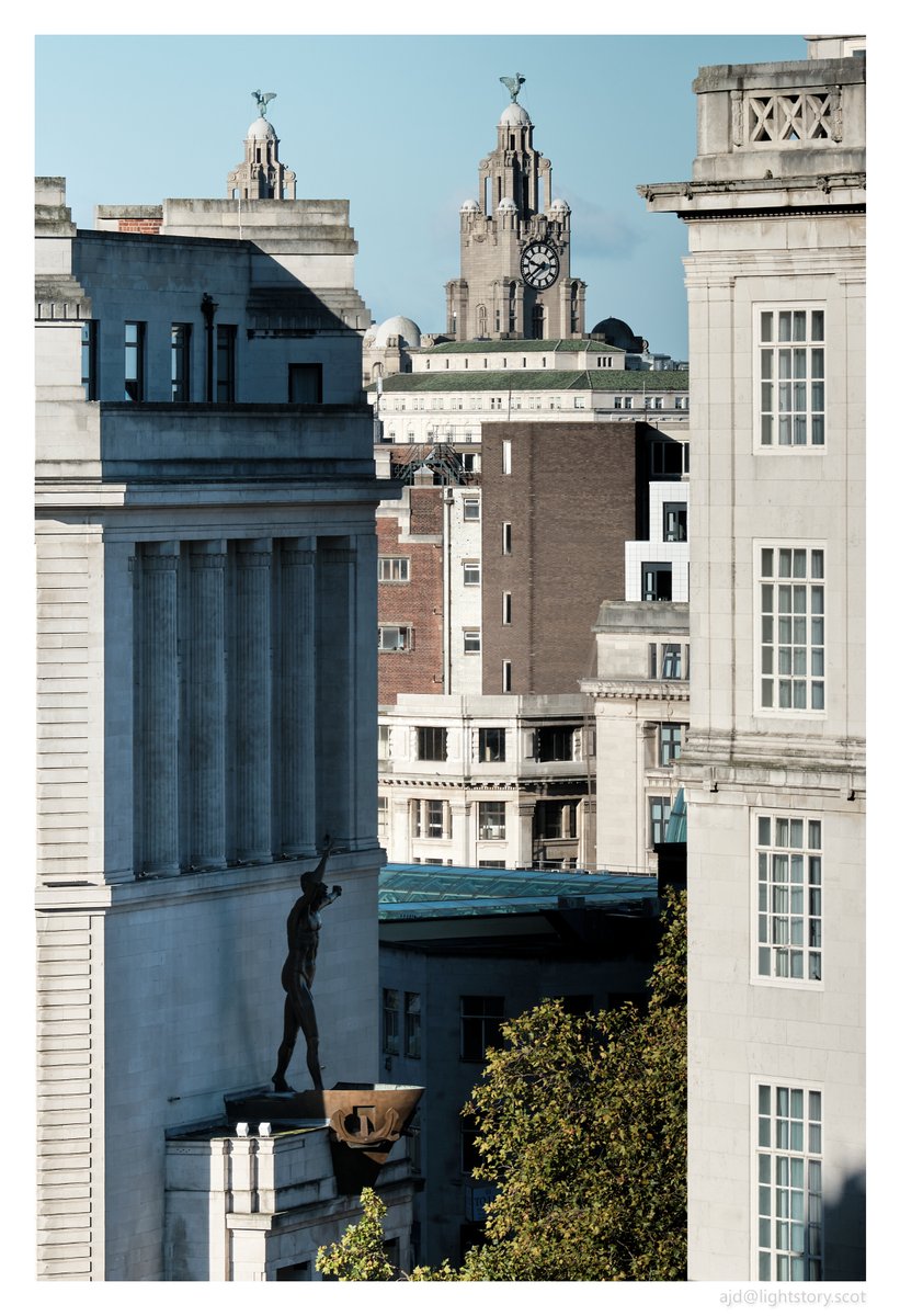 Lightstory tweet media