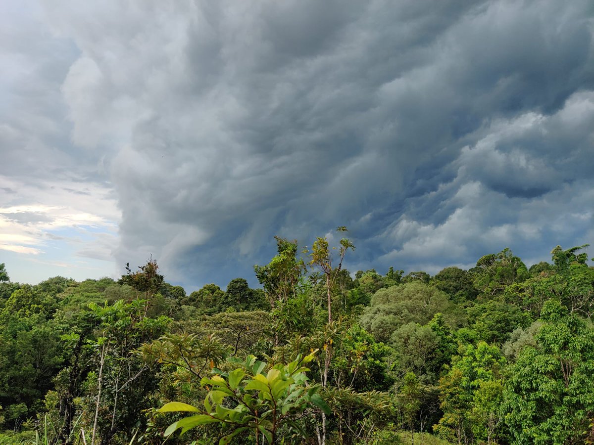Wondering what happened in the next few minutes? Well, we had to leave the plot and walk fast to the car to not get too wet. But the pre-storm sky was beautiful! Picture credits: Reinoud van Giersbergen
