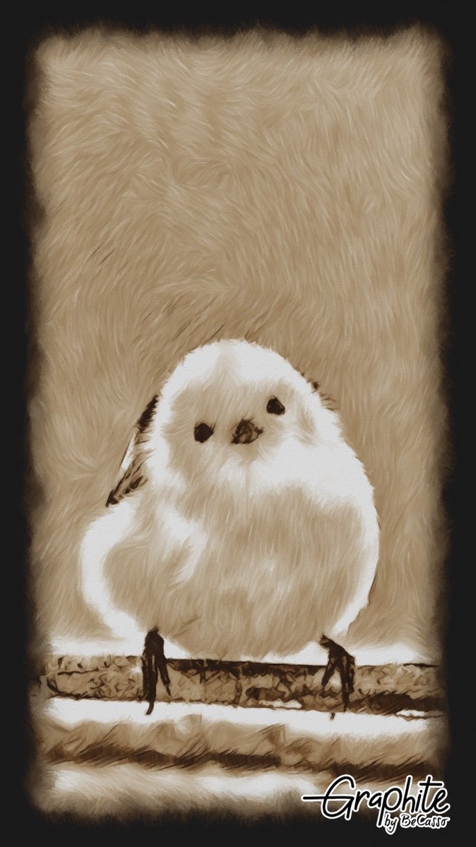 Falcon87UT's tweet photo. #GraphiteApp で作成。アプリを無料でダウンロード! @becassoapp https://t.co/UcWJLOQspO