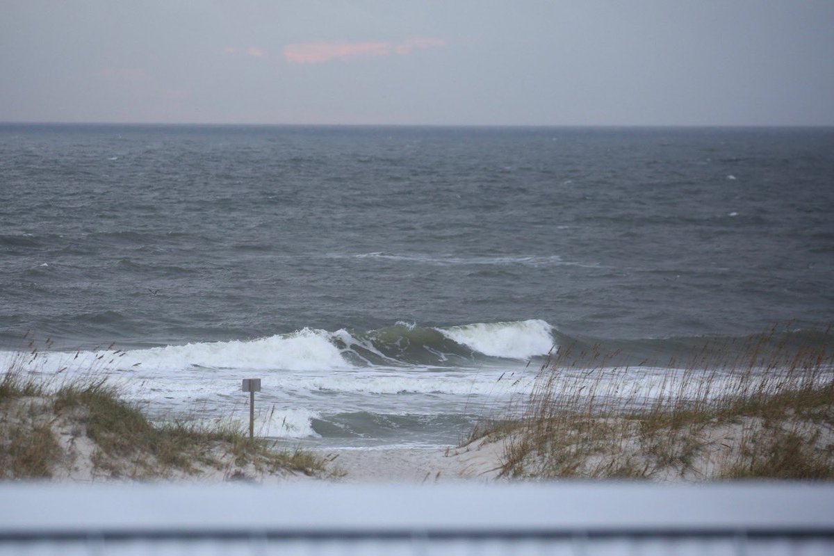 Tory Strange tweet media