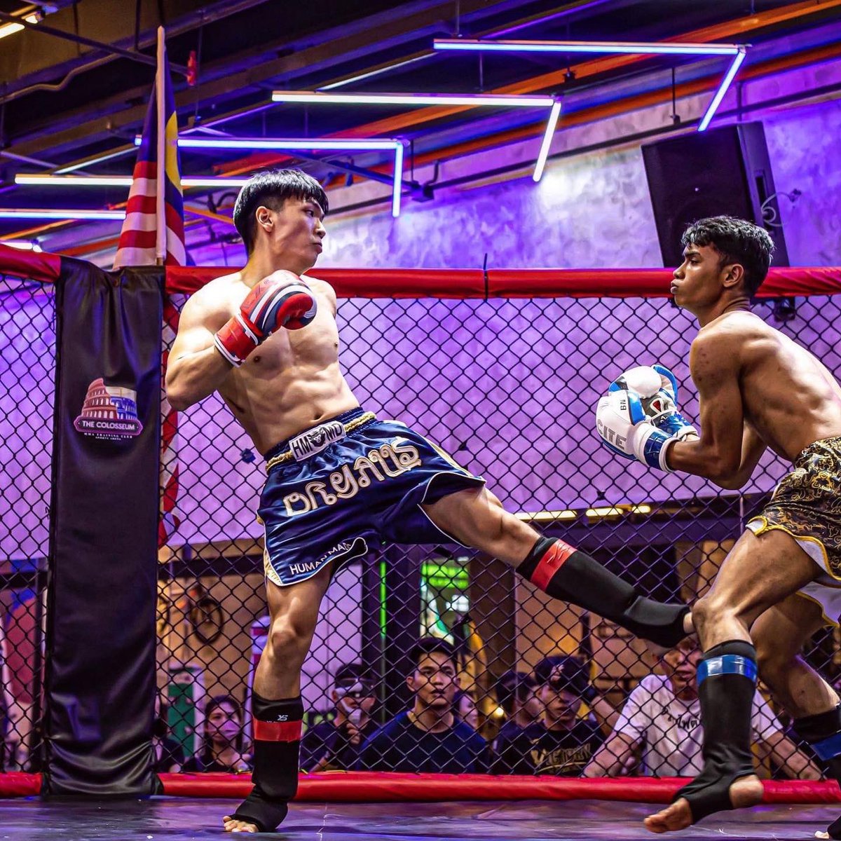 Lyrix_Lee7's tweet photo. Just another fight in life 🥊
#lifeisafight 
#ultimatebeatdown41 https://t.co/y8BLMVm1nW
