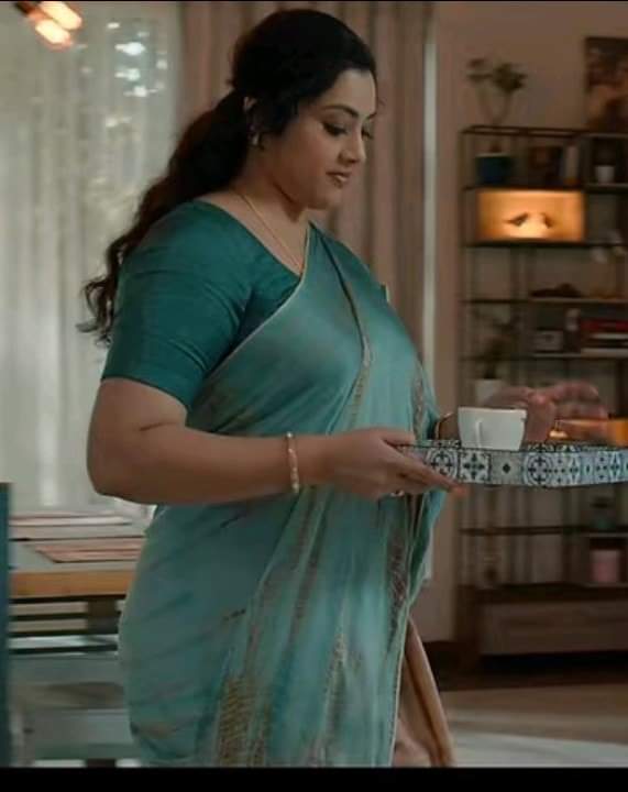 Hot Actress Meena, Indian Tamil Aunty Meena beautiful collections latest
