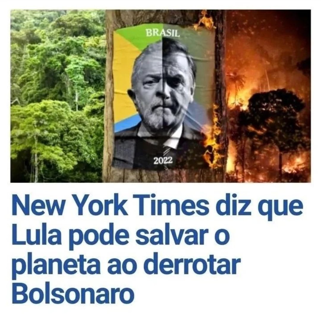 Luciake tweet media