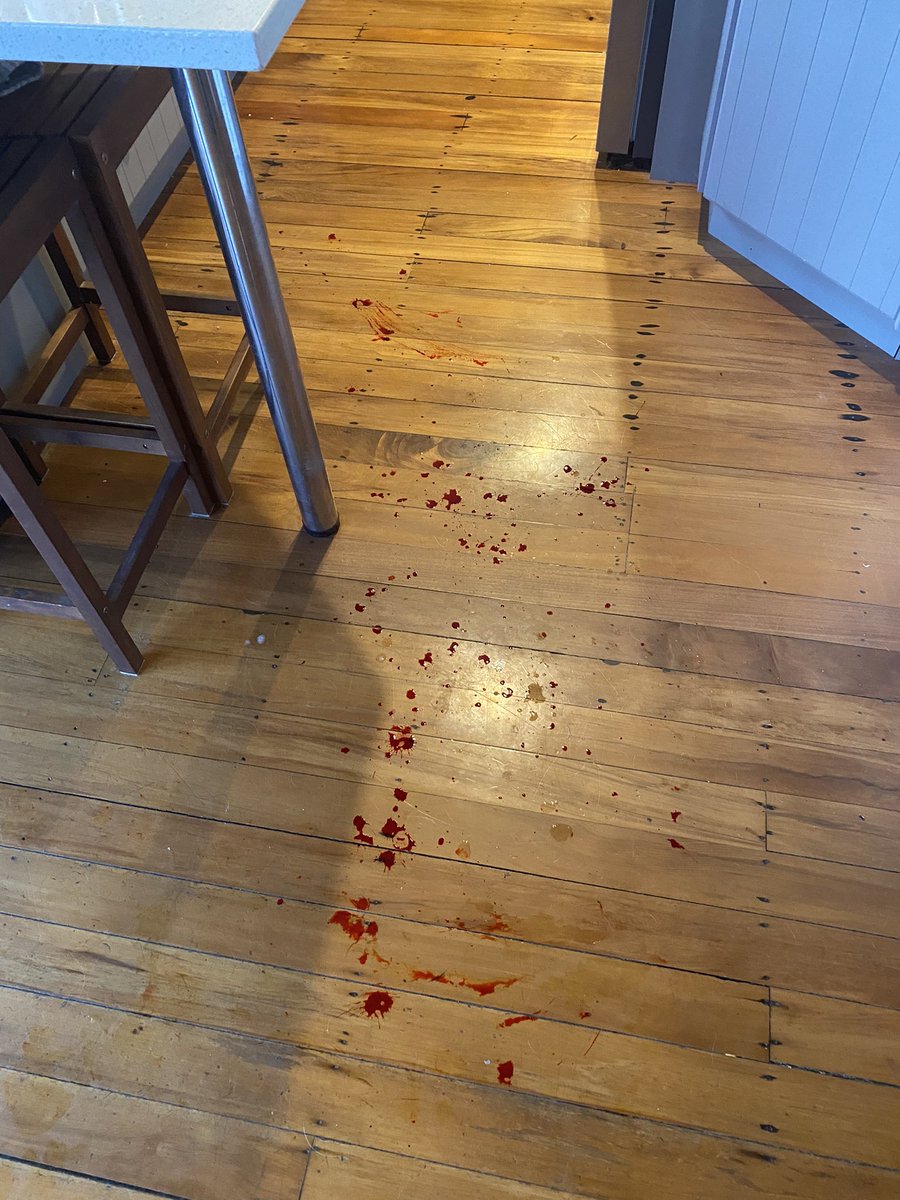 distantwolf's tweet image. #HalloweenFoodColouringAccident