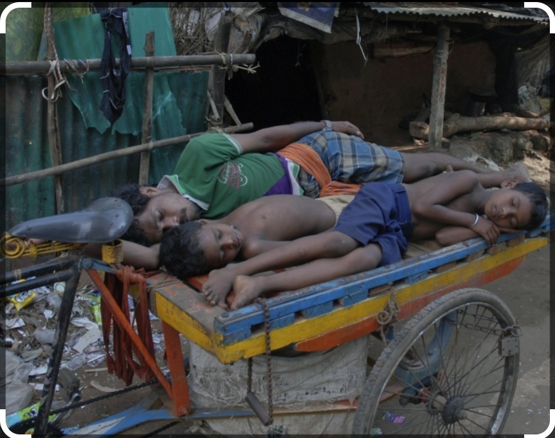 Peter Blake tweet media