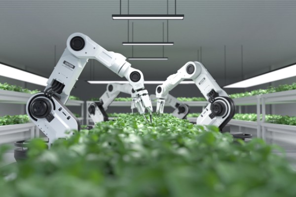 I've been to a few #AgriTech events lately, and the topic of Vertical Farming always seems to get the room talking.

The potential is not in doubt, with a number of tangible benefits listed in this article; significantly less water and land usage (up t... tinyurl.com/24oftbpq