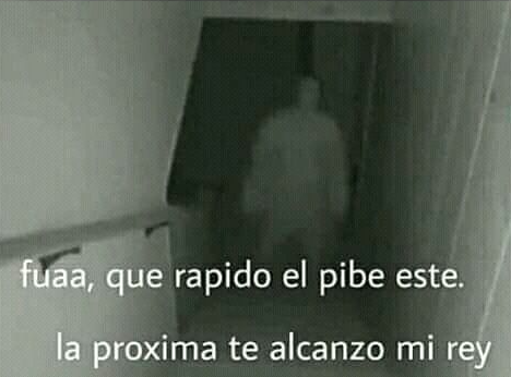 Flantasma1's tweet photo. Yo: apago la luz y subo las escaleras corriendo
El fantasma: https://t.co/WO3aRK8fts