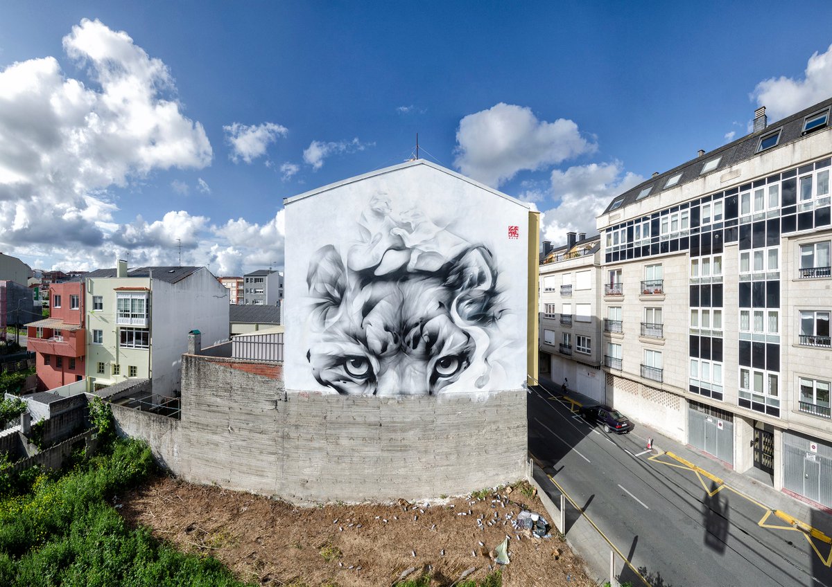 DerrubandoMuros tweet media