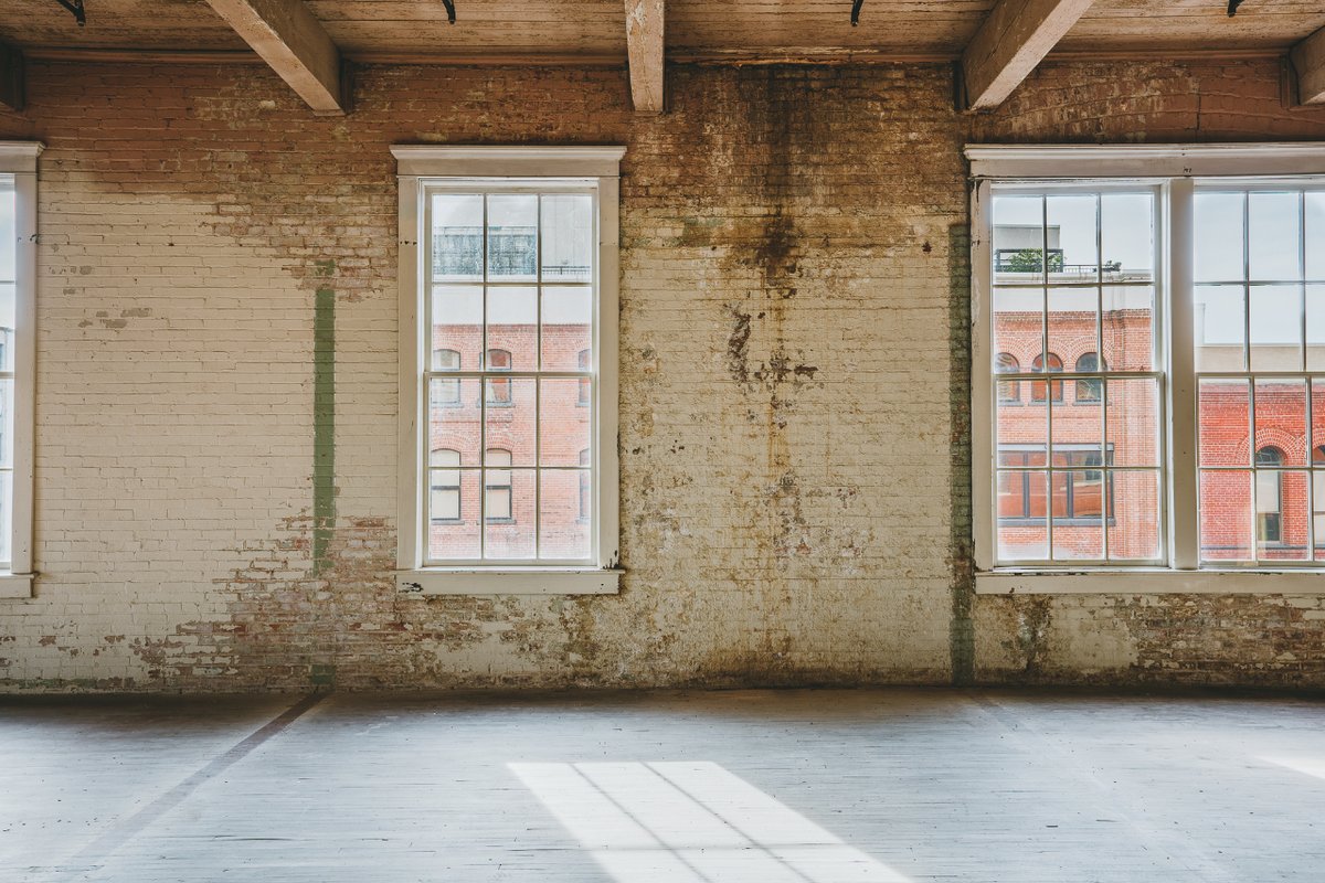 PurseBdgDallas's tweet image. The view from your window is going to be truly breathtaking.

This could be your view!

📌For leasing information contact 214-758-0348 or visit our website pursebuildingdallas.com.

#PurseBuildingDallas #WildcatMgmt  #WindowViews #Dallas  #CRE #CreativeOfficeSpace #NowLeasing