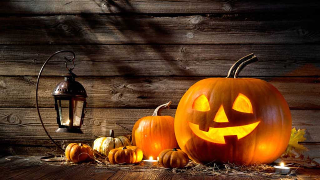 ▶ LA NOTÍCIA: Una castanyada màgica a Campredó amb l’experiència ‘Samhain’ #TerresdelEbre @infocampredo @DamiaGrauArasa setmanarilebre.cat/?p=66261