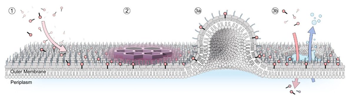 Manuel Sánchez tweet media