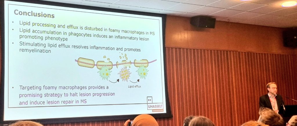 BIOMED_UHasselt (@biomed_uhasselt) on Twitter photo @JeromeHendriks at #ECTRIMS2022 : Targeting foamy macrophages provides a promising strategy to halt lesion progression and induce lesion repair in multiple sclerosis - very nice examples from his and <a href="/BogieJeroen/">Jeroen Bogie</a>'s lab @JeromeHendriks at #ECTRIMS2022 : Targeting foamy macrophages provides a promising strategy to halt lesion progression and induce lesion repair in multiple sclerosis - very nice examples from his and <a href="/BogieJeroen/">Jeroen Bogie</a>'s lab