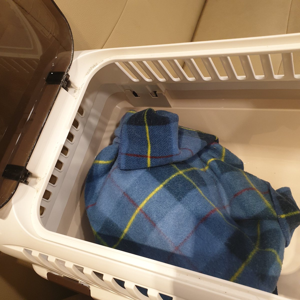 오늘 보름이 피 뽑은 날
놀랍게도 담요 아래 고양이 존재..
미안해 난 너가 건강하길 바랄 뿐이야😥💧