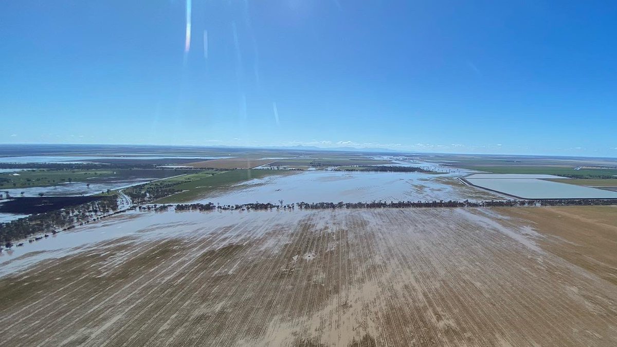 jimbohall's tweet photo. Some aerial footage 🚁 of the flooding around Havana Ag and neighbours, still a solid flow rolling through. @polanna1 https://t.co/SNj2C4gifJ