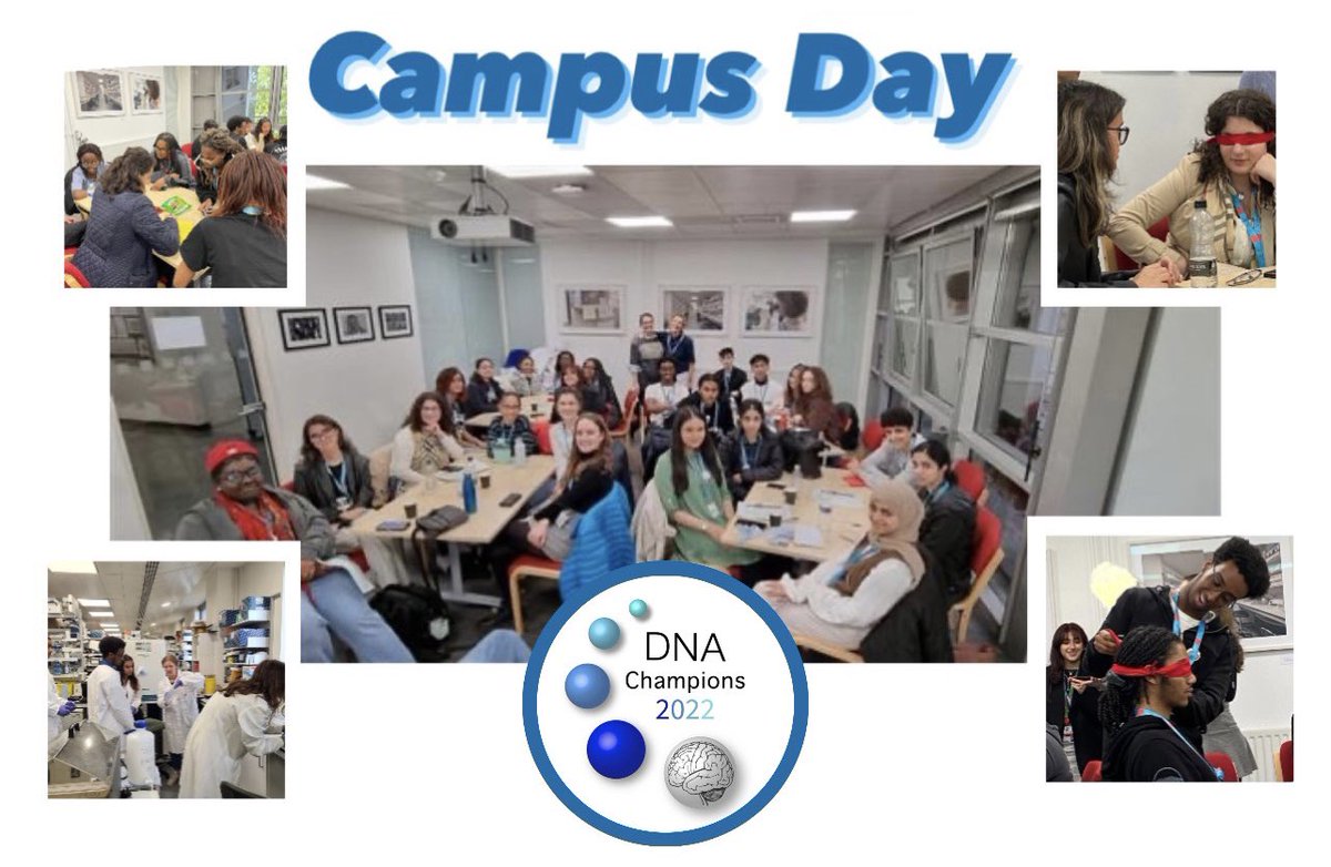 Welcome back #DNAChampions2022! A fantastic campus day working with the #DNAChampions2022 at @dev_neuro & @MRC_CNDD this half-term.

#neuroscience #kingscollegelondon #wideningparticipation #DNAChampions2022 #DevNeuroAcademy