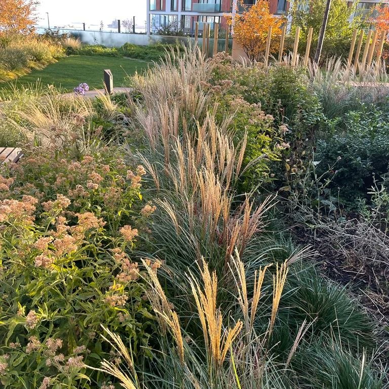 Our maintenance teams at Kidbrook Village and Royal Arsenal are setting the standard in grounds maintenance. Both sites look amazing! Kudos to all involved 

Get in touch with any grounds maintenance enquiries 
👇👇👇👇👇👇

#TeamAcre 

E: info@acrelandscapes.com 
T: 01273 722696