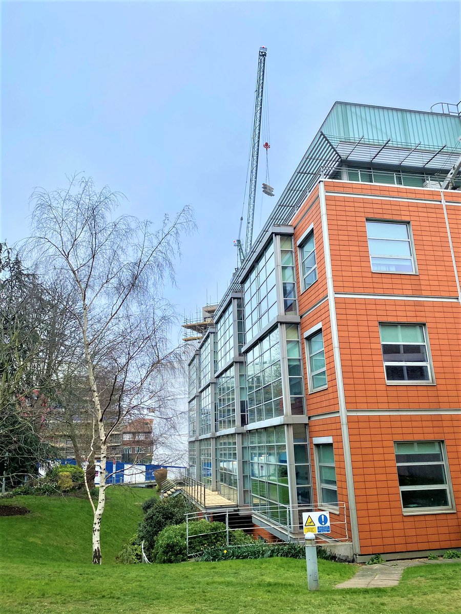 Dr Cathryn Lewis (@cathrynlewis) on Twitter photo Come and work with us at the <a href="/SGDPCentreKCL/">SGDP Centre KCL</a> - two more days to apply for our lectureship Come and work with us at the <a href="/SGDPCentreKCL/">SGDP Centre KCL</a> - two more days to apply for our lectureship