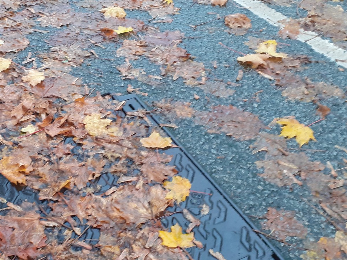 RoadSafetyNES's tweet photo. Our four seasons present a range of road safety issues to consider.  

In autumn, wet leaves 🌧️🍂on the road can lessen your grip, whether riding or driving.  Treat them as you would any other slippery road surface, reduce your speed and increase your stopping distance. https://t.co/5M1fBC5eml