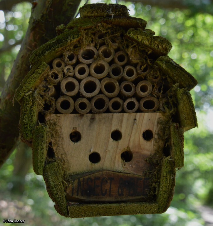 TheSuffolkMan's tweet image. #Bugbox