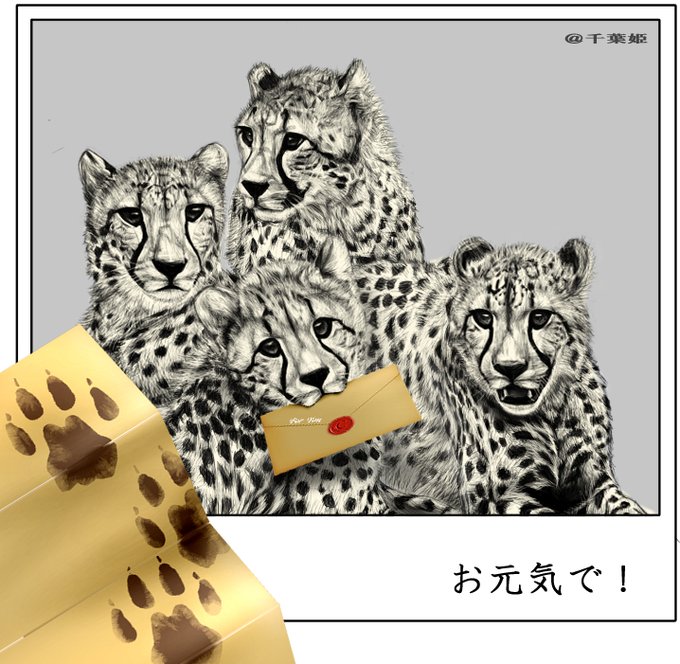 チーター のイラスト マンガ コスプレ モデル作品 143 件 Twoucan