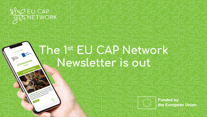 eucapnetwork's tweet photo. Today we #BloomTogether๐ป
The #EUCAPNetwork October Newsletter is out!
Read it to discover highlights from the launch event, the latest on #RuralNetworking & upcoming events
Don't want to miss a thing?๐
Subscribe now & receive it in your email monthly
https://t.co/0S0HWvk7fd https://t.co/gsKkwDYJjt
