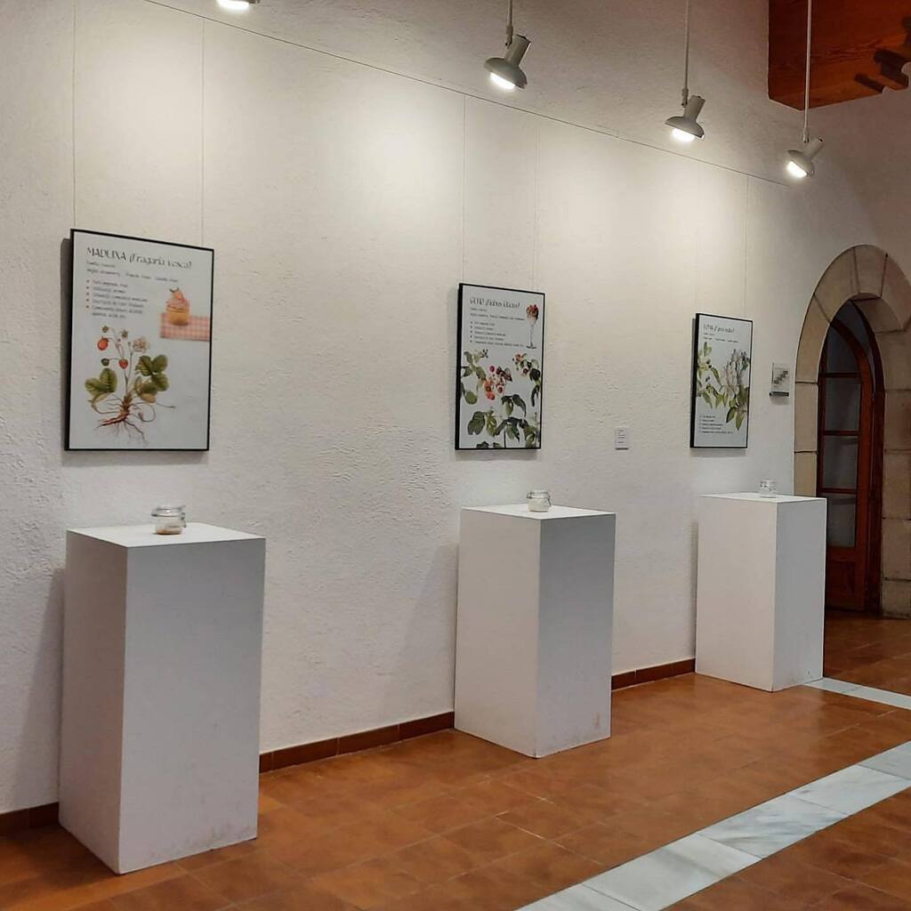 Aquestes imatges i vídeo, gentilesa de Lali Poch, ofereixen un passeig per l'exposició "Aromes i sabors del bosc" que es pot visitar a Rectoria Vella de #santceloni. Com que la tecnologia no dóna per tant, per sentir les olors i les fragàncies del #bosc … instagr.am/p/CkQTO_hNUgY/