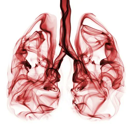 FlowHealthHQ's tweet photo. After testing negative for COVID, CEO Alex Meshkin turned to his customized respiratory panel to ID what pathogens were causing his symptoms. 

Alex's story calls attn to the growing number of pathogens emerging from an antimicrobial-resistant pandemic. 

https://t.co/OMMJ26j3Bp https://t.co/kEg6Achu8c