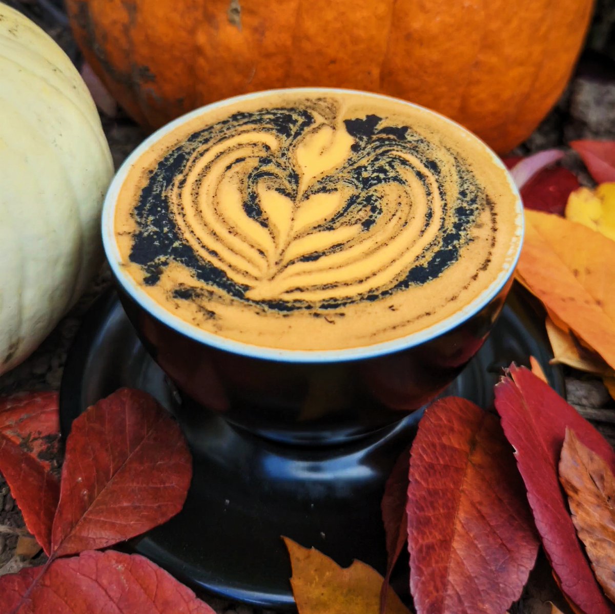 Sppooooooookyyyyy vibes coming to Indie Coffee Roasters for Halloween! Come through on Monday only to get a special Halloween version of one of our most popular fall drinks.