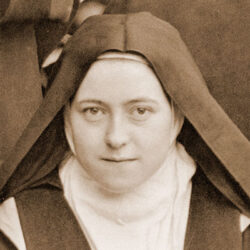 gaudiumeng's tweet photo. Saint Thérèse: Model of Holiness for the Weak
"Love is nourished by sacrifice. The more the soul refuses natural satisfactions, the more its tenderness becomes stro...
https://t.co/XTBuRzUL8n
#Spirituality
#ACTOFFAITH #angels #brazil #Carmel #Carmelite ... https://t.co/8JKyC5d4bN